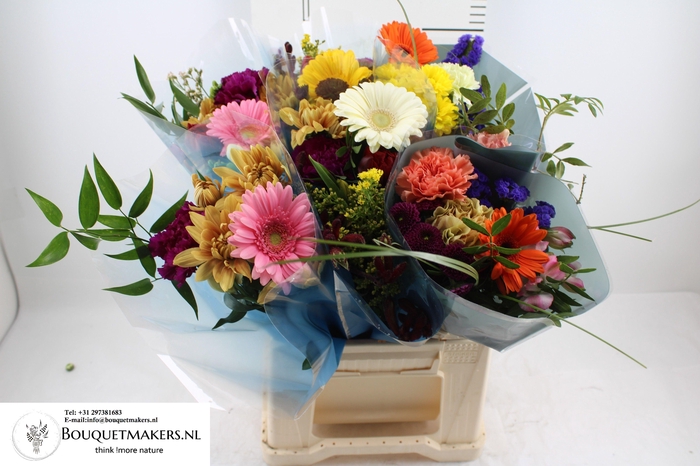 <h4>GEM BOEKET OV</h4>