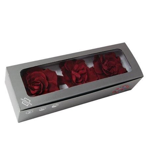 Gardenia Burgundy Per 3