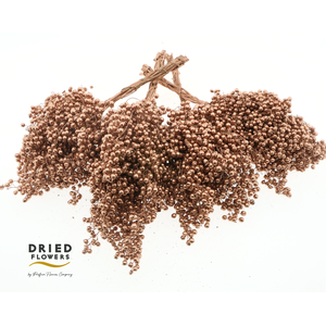 Dried Pepper Berries Koper