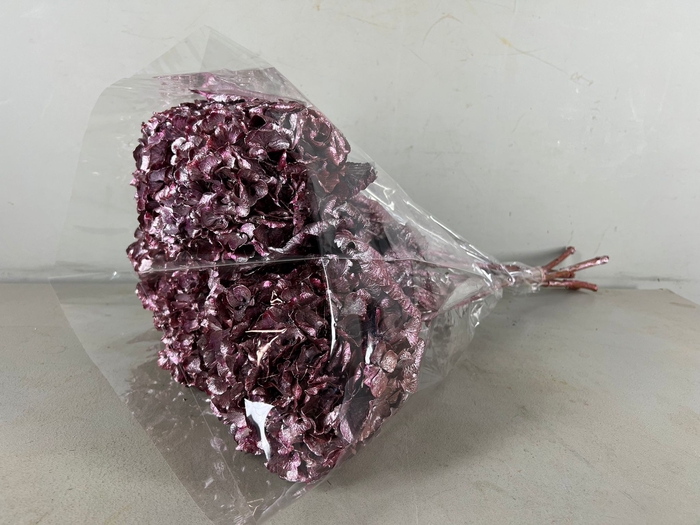 <h4>DF Hydrangea Antique Pink</h4>