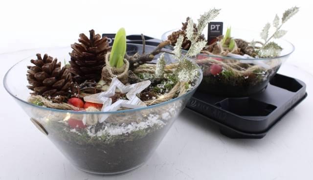 <h4>ARR BOL KNOLGEWAS</h4>