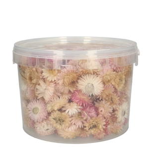 Dried flowers Helichryseum head 100g