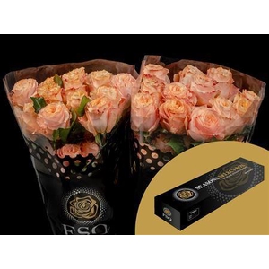 R Gr Gar Princess Crown Box
