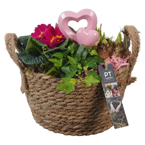PTVO3636 Arrangement Valentine Outdoor in rieten mand