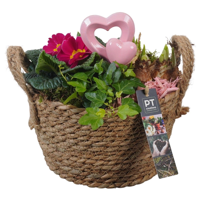 <h4>PTVO3636 Arrangement Valentine Outdoor in rieten mand</h4>