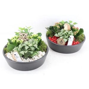 arr2 PL - Ker. schaal zwart 25cm - rood/wit