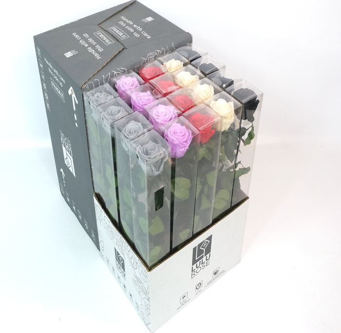 <h4>Rosa Preserved Stem 50cm Shadow mix</h4>