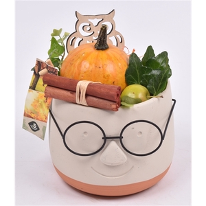 Arrangementen Sierfruit