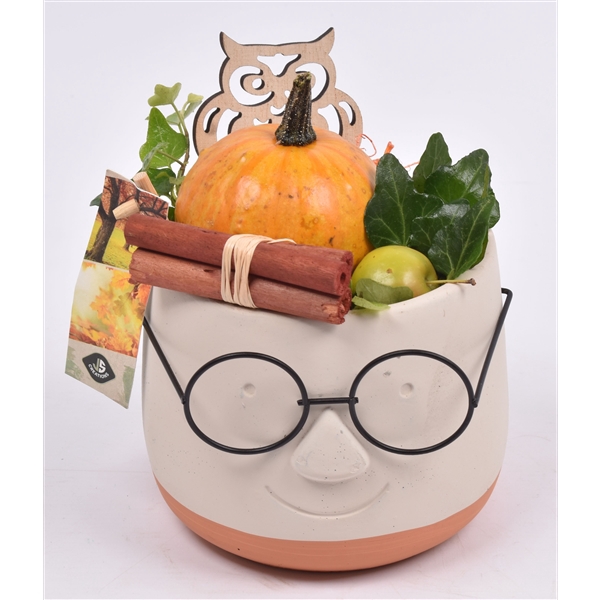 <h4>Arrangementen Sierfruit</h4>