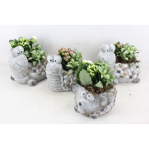 arr2 TD - Dierenmix - roze/wit