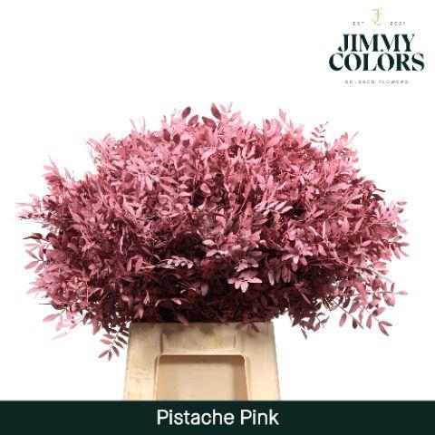 <h4>Pistache L50 Pink</h4>