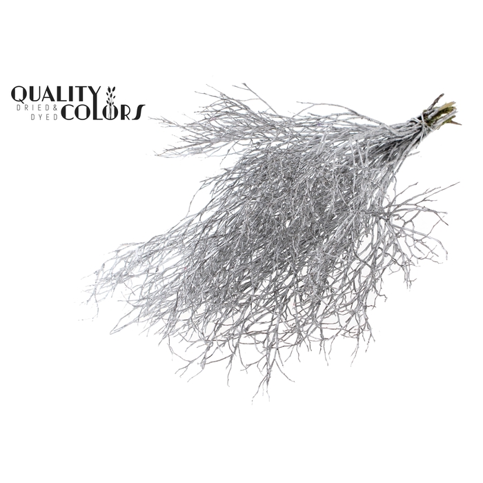 <h4>Huckelberry per bunch Silver</h4>