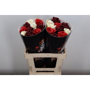 R Ov Wx Mix Red White Bordeaux