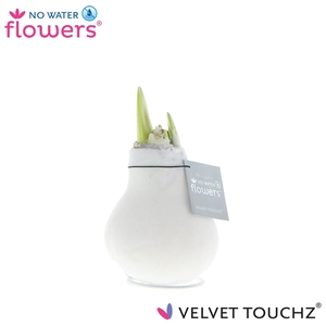 No Water Flowers Velvet Touchz® White