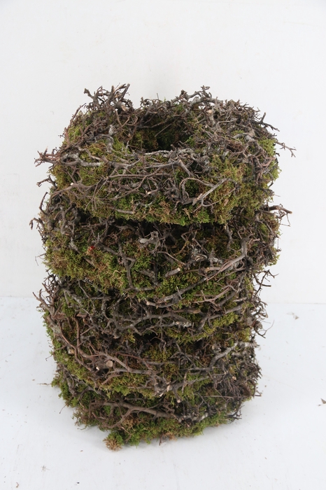 <h4>Wreath Moss Bonsai Ø40</h4>