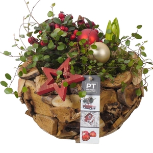 Arr.   Tuinplanten H%