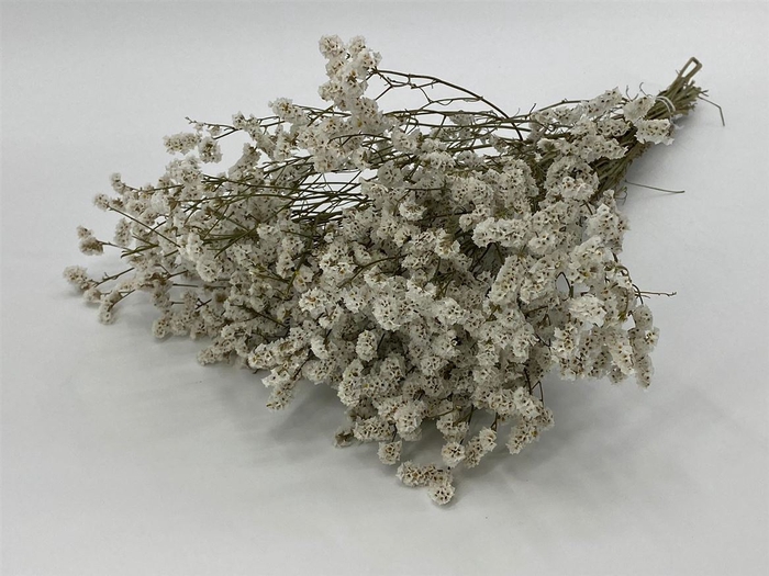 <h4>Dried Limonium Diamond White Bunch</h4>