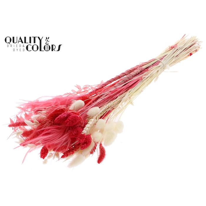 <h4>BQT Round Large Ruby</h4>