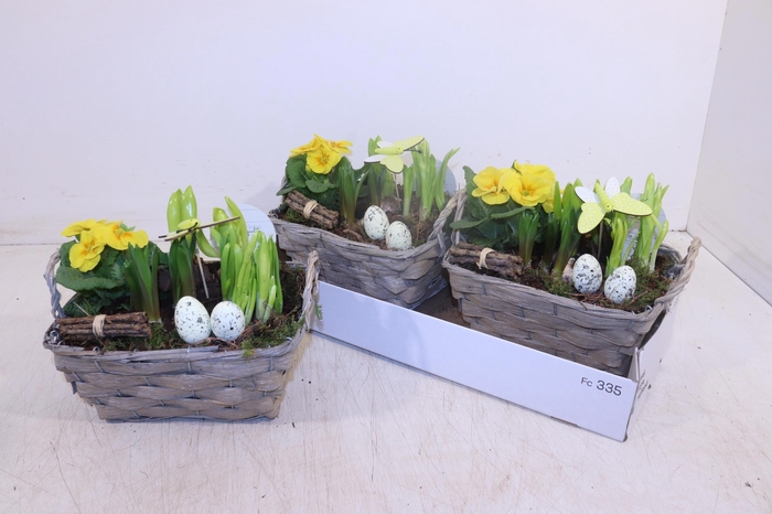 <h4>ARR TUINPLANTEN</h4>