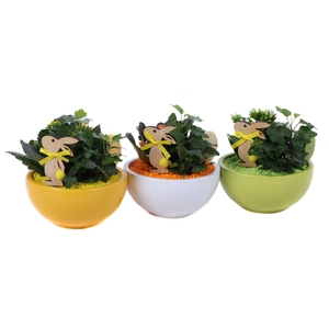 Opgemaakte paasschalen met hedera, kalanchoe en bijsteker