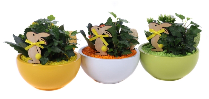 <h4>Opgemaakte paasschalen met hedera, kalanchoe en bijsteker</h4>