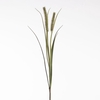 AF Pennisetum x2 L88cm Green
