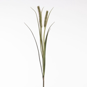 Af Pennisetum X2 L88cm Green