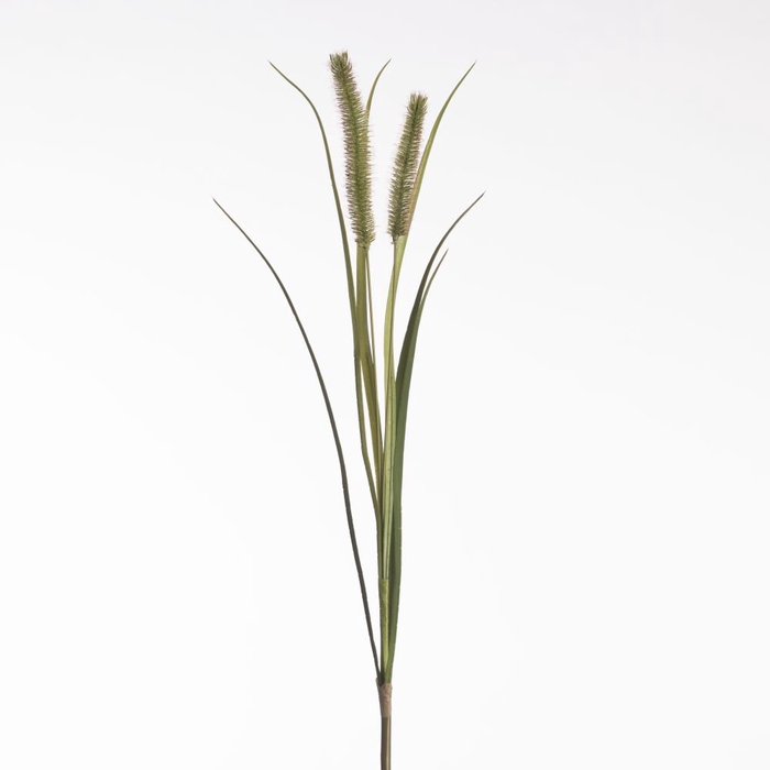 <h4>Af Pennisetum X2 L88cm Green</h4>