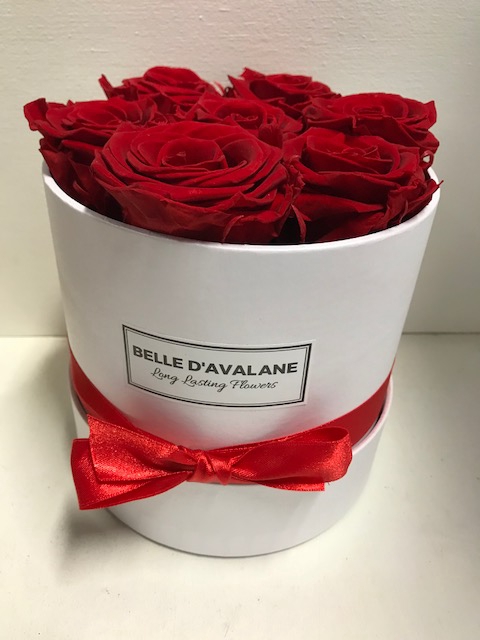Flowerbox rd 15cm wit/rood