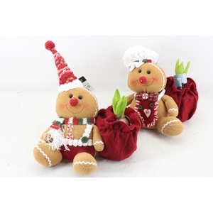 arr4 Hyacint RN - Ginger & gingerella