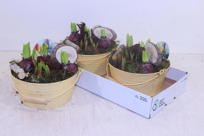 <h4>ARR BOL KNOLGEWAS</h4>