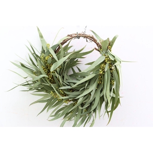 Wr Eucalyptus Hoops 30cm