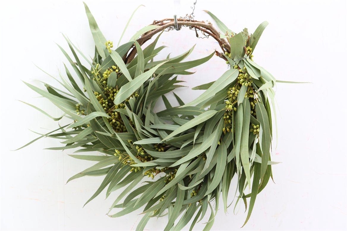 <h4>Wr Eucalyptus Hoops 30cm</h4>