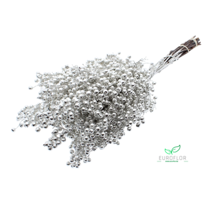 PEPPERBERRIES PLATINA