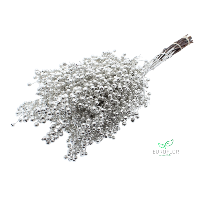 <h4>PEPPERBERRIES PLATINA</h4>