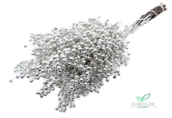 PEPPERBERRIES PLATINA