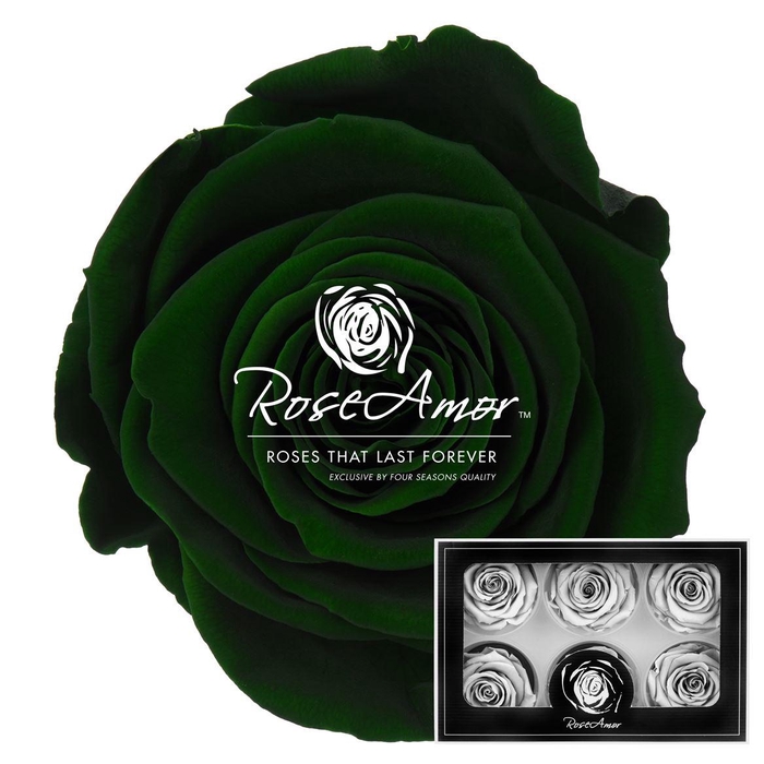 <h4>Lplus Gre02</h4>