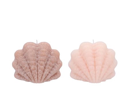 <h4>Candle Shell Scallop Ivory/sand 15x10cm</h4>