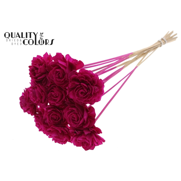 <h4>Shola Dahlia 6cm on stem Lilac</h4>