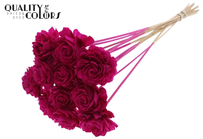 Shola Dahlia 6cm on stem Lilac