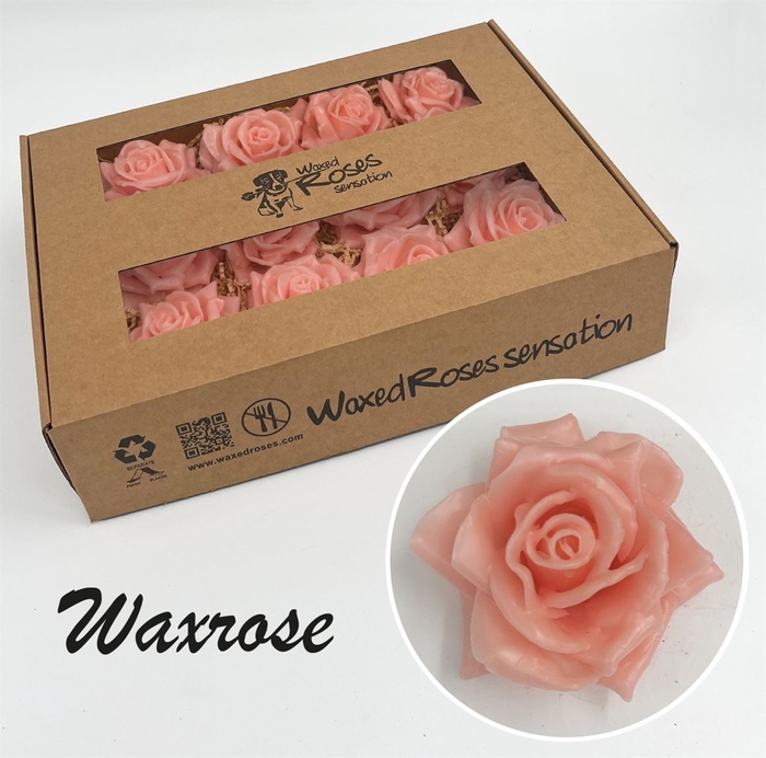 <h4>Zijde Wax-Rozen Wax Zijde Versilia</h4>