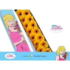 Germini Tweety Water x40