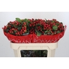 Hypericum True Romance Spray