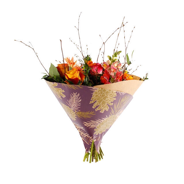 <h4>Hoes 35x35cm Roundina 45gr kraft Pinecone paars 500/doos</h4>