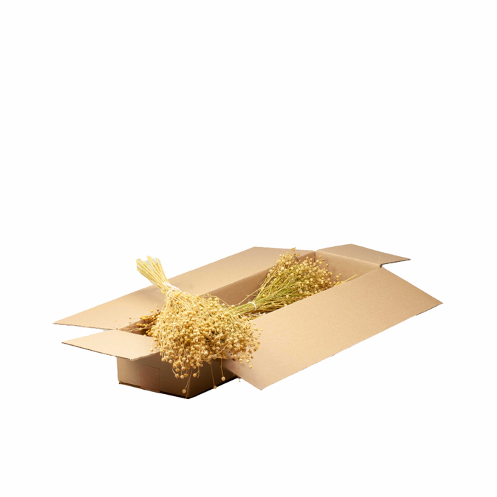 <h4>Linum Sb Natural</h4>