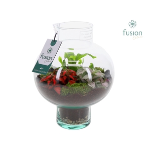 Green Bottle Laura Small met Arrangement 3pp
