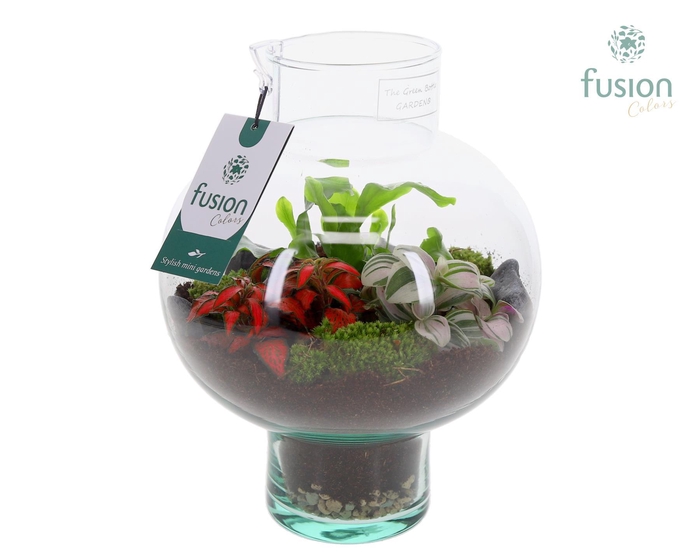 <h4>Green Bottle Laura Small met Arrangement 3pp</h4>