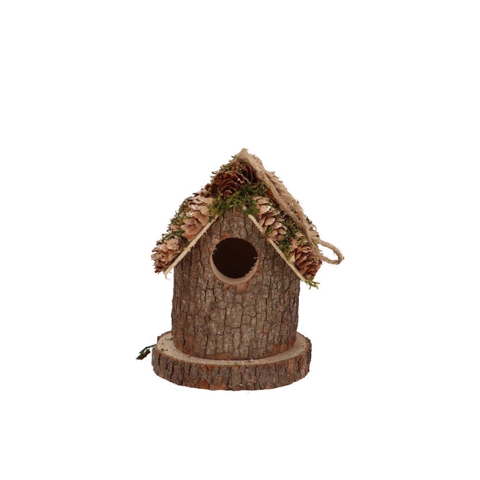 <h4>Festive Bird Nest Pine Moss 10x10x12cm</h4>