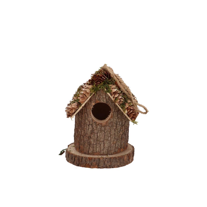<h4>Festive Bird Nest Pine Moss 10x10x12cm</h4>