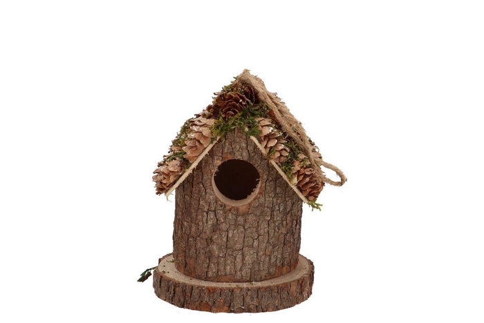 Festive Bird Nest Pine Moss 10x10x12cm